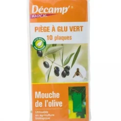 10 ADHESIVA FÄLLOR FÖR OLIVFLUGA INSEKTER