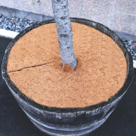 10 Coconut Mulching-skivor 30 cm Kokosfibermatta Kokosfiber Växtskyddsmatta Kokosnöt