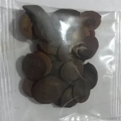 20 frön Balkong Wisteria Frö Gräsmatta Plant Frö Trädgård Wisteria Frö för utomhusgård Blå