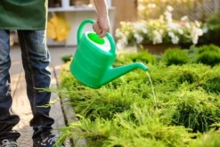 25 kg Epsomsalt, grangödsel, bladgödsel, magnesium, TOP 25 kg