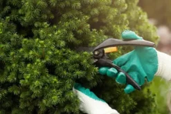 25 kg Epsomsalt, grangödsel, bladgödsel, magnesium, TOP 25 kg