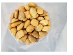 100 kg Polerade småsten Flodsten Pebbles Trädgårdsgrus Prydnadsgrus Gul