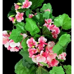 3 KONSTVÄXTER GERANIUM FÖR SAMMANSÄTTNINGAR VALFRI FÄRG 40CM BLOMMOR VÄXTER