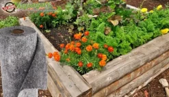 46 m² Kapillärmatta Bevattningsmatta Filtermembran Förvaringsfleece 300 g 2 m bred