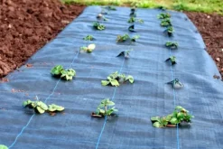 32 m² Ogräsbekämpningsmembran Ogräsfoder Mulchliner 100 g 1 m bred Svart