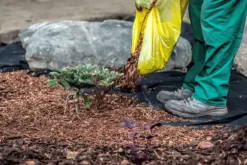 30 m² Trädgårdsfleece Ogräsbekämpningstyg Ogräsfoder Mulchfoder Mulchtyg 150 g 1,2 m bred