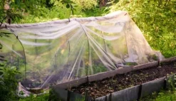 6 m Trädgårdsfoder Växthusfoder UV 5 Kallramsfoder Växthusfoder 6 m bred