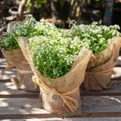 45 m x 1 m Jutetyg 105 g/m² Jutematta Trädgårdsjute Jutetyg Säckväv Juteband