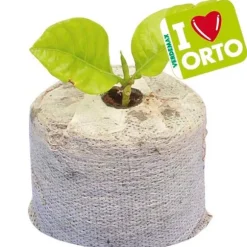 12 PASTILLERAS FIBRA DE COCO CON TELA 45XH10CM VERDEMAX PLANTAS FLORES SEMILLAS