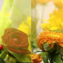 30 st 20*30 cm nätpåsar för frukt med dragsnöre, återanvändbara nätpåsar för trädgården, nätpåsar för frukttäckning, lämpliga för fruktträd, grönsake | CDON