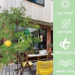 10 st fruktflugfälla med klibbig knottdödare fruktflugfällor Effektiv flugfångare Insektsfälla för inomhus utomhuskök