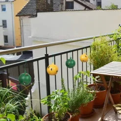 10 st fruktflugfälla med klibbig knottdödare fruktflugfällor Effektiv flugfångare Insektsfälla för inomhus utomhuskök