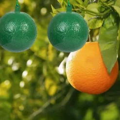 10 st fruktflugfälla med klibbig knottdödare fruktflugfällor Effektiv flugfångare Insektsfälla för inomhus utomhuskök