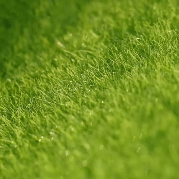 4 ST Konstgräs för trädgårdsminiatyrprydnad Trädgård DIY Gräs