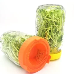 4 st. lättsköljda och dränerade plastlock för grodlock med bred öppning