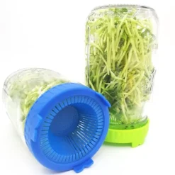 4 st. lättsköljda och dränerade plastlock för grodlock med bred öppning