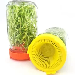 4 st. lättsköljda och dränerade plastlock för grodlock med bred öppning