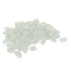 100 st lysande stenar fluorescerande dekor trädgård gård inomhus akvarium landskapsdekoration genomskinlig