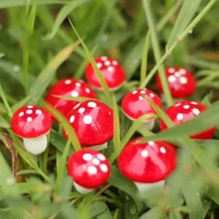 50 st Mini svampdekoration Miniatyrträdgårdshantverk liten konstgjord svamp