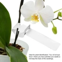 200 st Plast Växt Träd Taggar Trädgård Växt Etiketter Växthängande