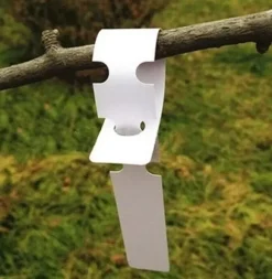 200 st Plast Växt Träd Taggar Trädgård Växt Etiketter Växthängande