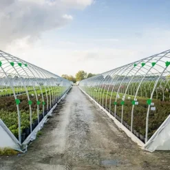 40 st stora växthusklämmor i plast 11-12 mm för nättunnelklämmor, växthusfilmklämmor för stöd för säsongsbetonade växtförlängningar