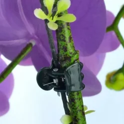 100 st Trädgård Klämma växt Orkidé Blomma Fixering Planta stöd