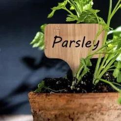 10 St Trädgårdsarbete Etiketter Sign Tags Blank Label