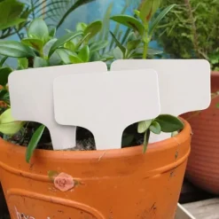 100 st T-typ Växt Frö Etikett Återanvänd planta Trädgård markör