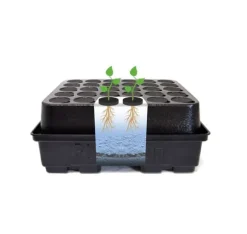 Aeroponic system DWC Clone 12 Platinium