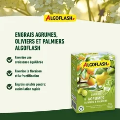 ALGOFLASH NATURASOL Gödselmedel för citrusfrukter, oliver och palmer - 1 kg