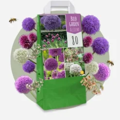 Allium lökar - Set om 160 - Allium - Blomlökar - Flerfärgad