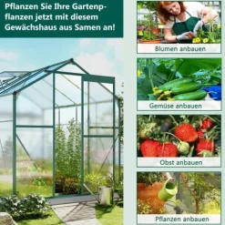 Aluminium växthus med grund 4,75 m² - 190 × 253 cm, inkl. 1 takfönster och skjutdörr, trädgårdsväxthus, tomatväxthus