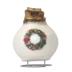 Amaryllis - Hippeastrum 'Porslinsvax Krans'