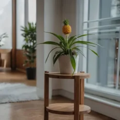 Ananasväxt - Set om 2 - Ananas comosus 'Mi Amigo' - Höjd 35-45cm - ⌀12cm