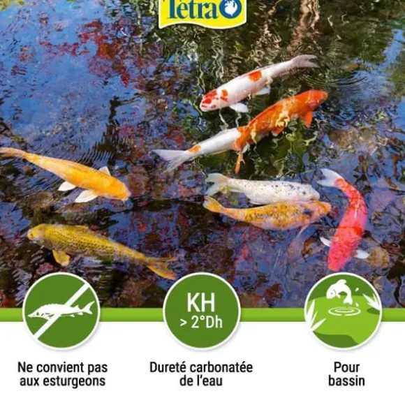 Anti-alger för trädgårdsdammar - Tetra Pond Algorem - 250 ml