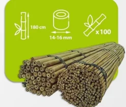 Bambupålar, bambustänger 180 cm 14/16 mm 100 st/