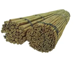 Bambupålar, bambustänger 180 cm 16/18 mm 50 st/