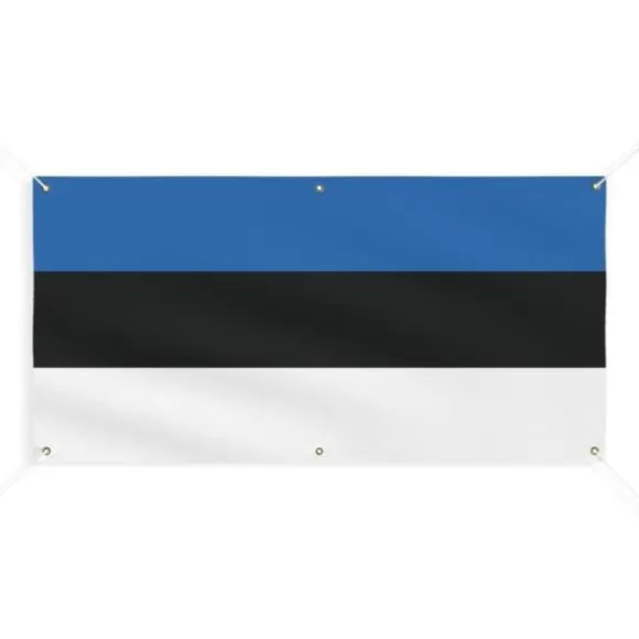 Banner Flag of Estonia 6 öljetter 70x140cm i polyester