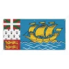 Banner Flagga av Saint-Pierre och Miquelon 6 öljetter 50x100cm i polyester
