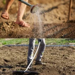 Barenbrug Emerald Grass för torra områden vatten 1kg
