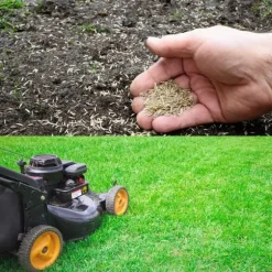 Barenbrug Emerald Sport Robot Sportgräs 1 kg