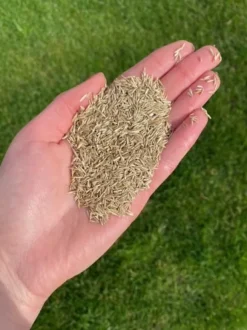 Barenbrug EMERALLD Premium regenerativt gräs 15kg