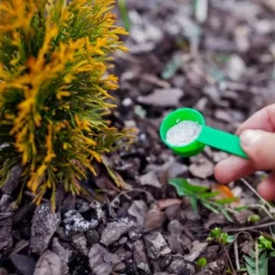 Barrgödsel Thuja Granulat Trädgårdsstart 2kg