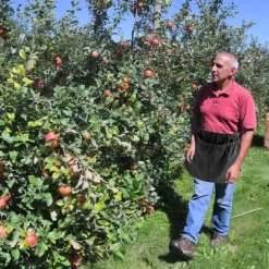 Berry Foderpåse Multipurpose Slitstark Nylon Frukt Foraging förvaringsväska med spänne