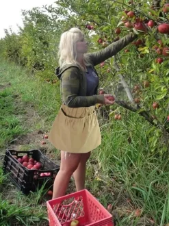 Berry Foderpåse Multipurpose Slitstark Nylon Frukt Foraging förvaringsväska med spänne
