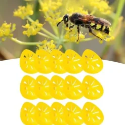 Bifälla, slitstark getingfångare, bärbart företag för jul familjeterrasscamping