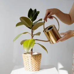 BIOHUMUS GÖDSEL 0,5L UNIVERSAL AGRECOL