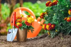 BIOHUMUS UNIVERSALGÖDSEL 0,75L AGRECOL