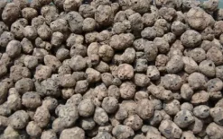 BIOVITA GARDENING EXPANDED GRAPE idealisk för dränering 8-16MM 18L